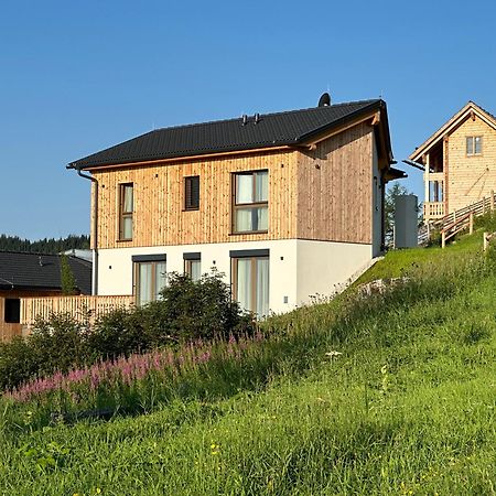 Berglisl - Direkt An Der Schipiste! Neue Ferienwohnung Mit Sauna Klippitztorl Exteriér fotografie