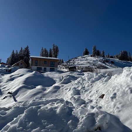 Berglisl - Direkt An Der Schipiste! Neue Ferienwohnung Mit Sauna Klippitztorl Exteriér fotografie